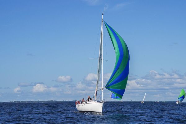 Trophée – photo 71