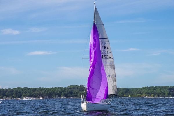 Trophée – photo 99