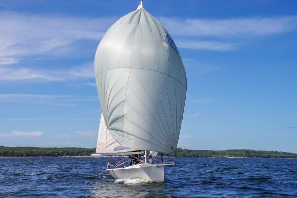 Trophée – photo 29