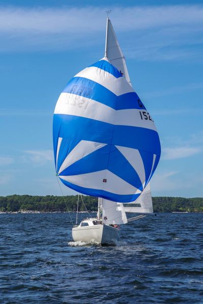 Trophée – photo 36