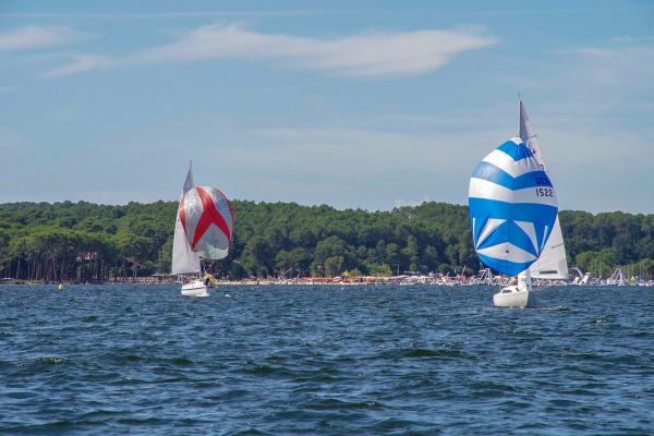 Trophée – photo 35