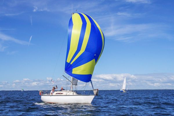 Trophée – photo 63