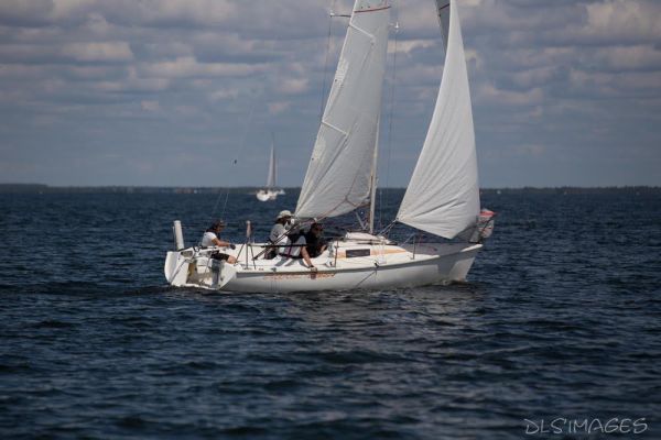 Régate du jeune régatier et du débutant – photo 106