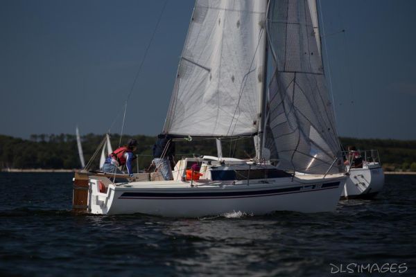 Régate du jeune régatier et du débutant – photo 148