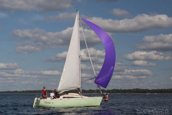 Régate du jeune régatier et du débutant – photo 245