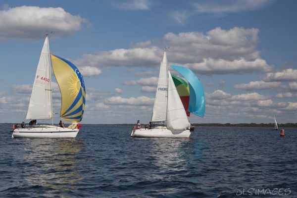 Régate du jeune régatier et du débutant – photo 241