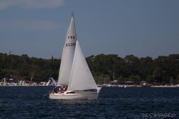 Régate du jeune régatier et du débutant – photo 95