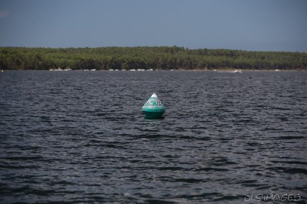 Régate du jeune régatier et du débutant – photo 177