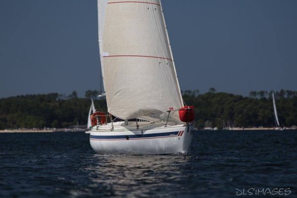 Régate du jeune régatier et du débutant – photo 156