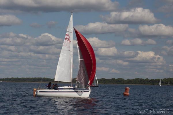 Régate du jeune régatier et du débutant – photo 239