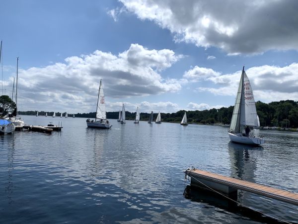 La solitaire – photo 23