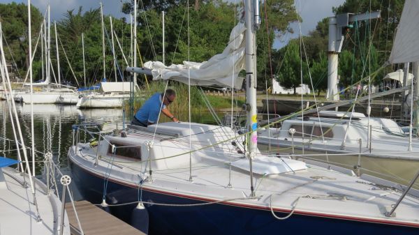 La solitaire – photo 2