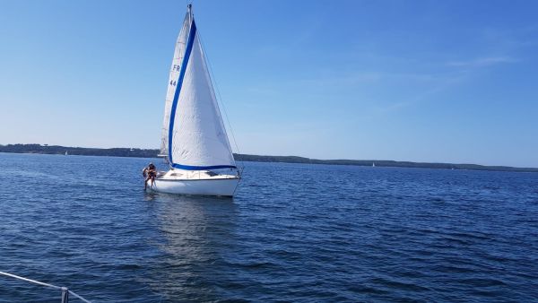 La solitaire – photo 33