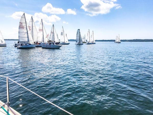 La solitaire – photo 2