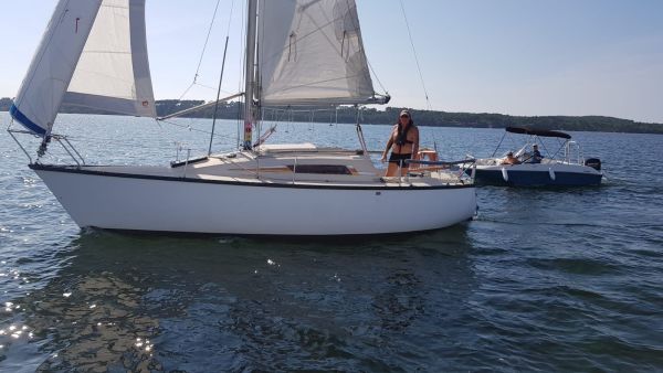 La solitaire – photo 25