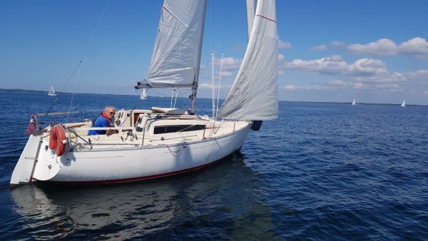 La solitaire – photo 19