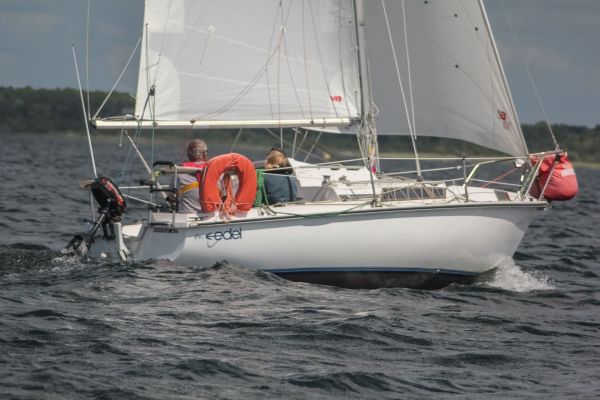 Les régates ducom pierre & fils – photo 37