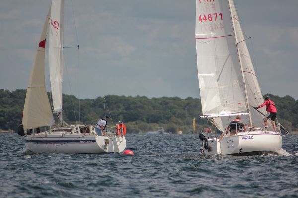 Les régates ducom pierre & fils – photo 46