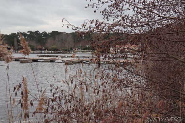 Chantier des pontons – photo 13