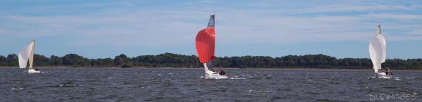 YCIB TdF – photo 38