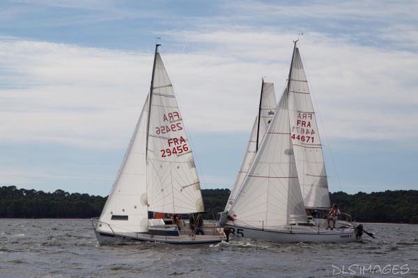 YCIB TdF – photo 34