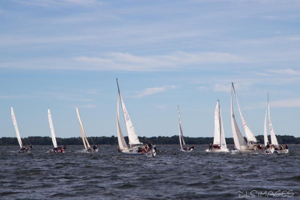 YCIB TdF – photo 60