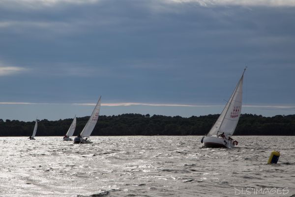YCIB TdF – photo 83