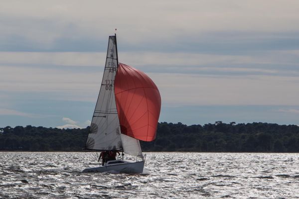 YCIB TdF – photo 56