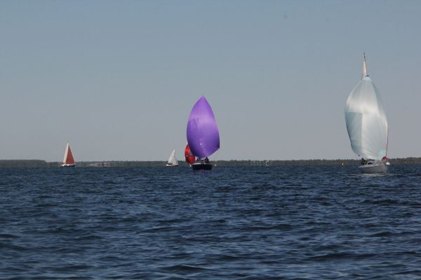 Journée des jeunes régatiers – photo 36