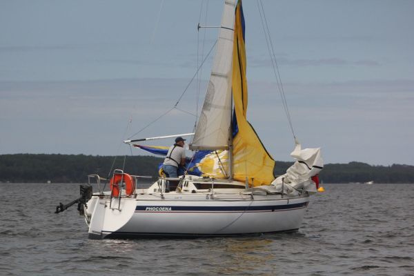 La solitaire – photo 26