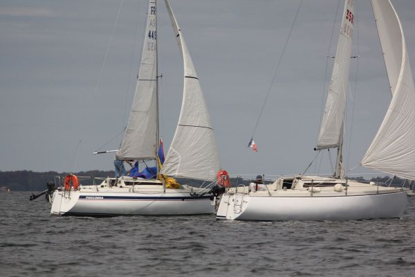 La solitaire – photo 27
