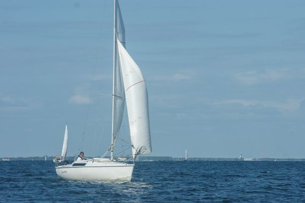 La solitaire – photo 19