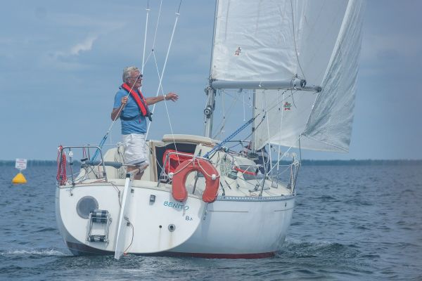 La solitaire – photo 5
