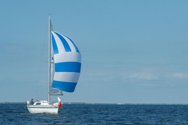 La solitaire – photo 22