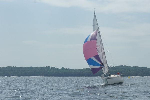 La solitaire – photo 6