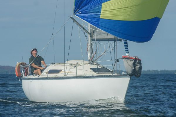 La solitaire – photo 17