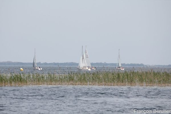 Régate des 25 ans – photo 34