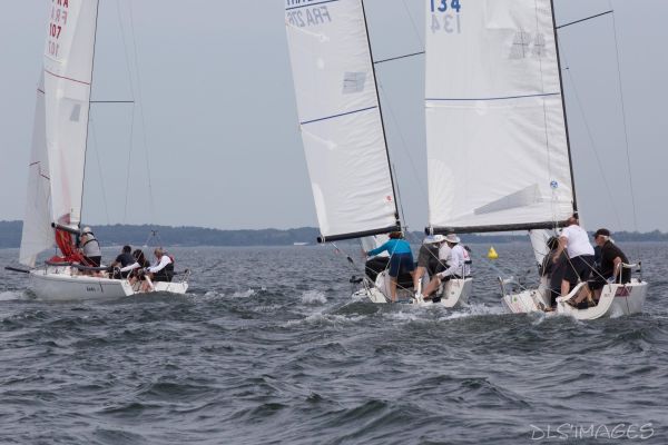 Le trophée d'Ispe - J70 – photo 99