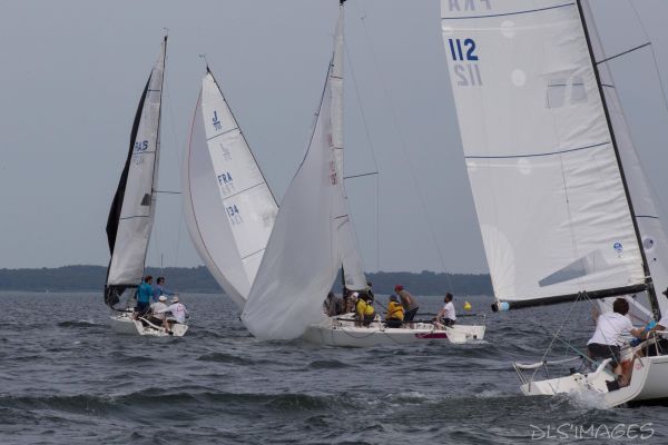 Le trophée d'Ispe - J70 – photo 105