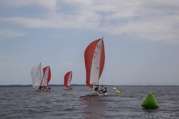 Le trophée d'Ispe - J70 – photo 244