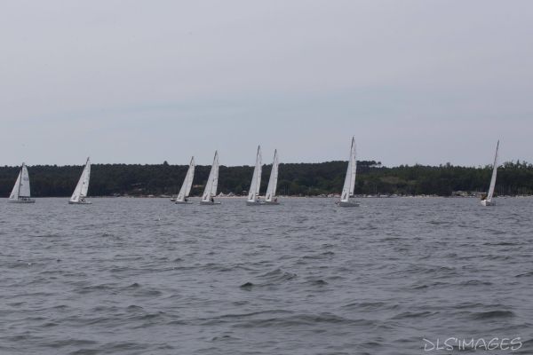 Le trophée d'Ispe - J70 – photo 144