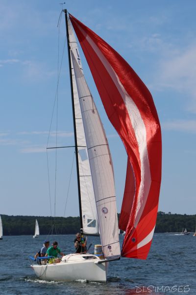 La régate du jeune régatier et du débutant – photo 14