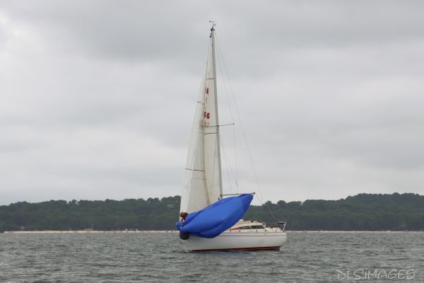 La Ducom – photo 20