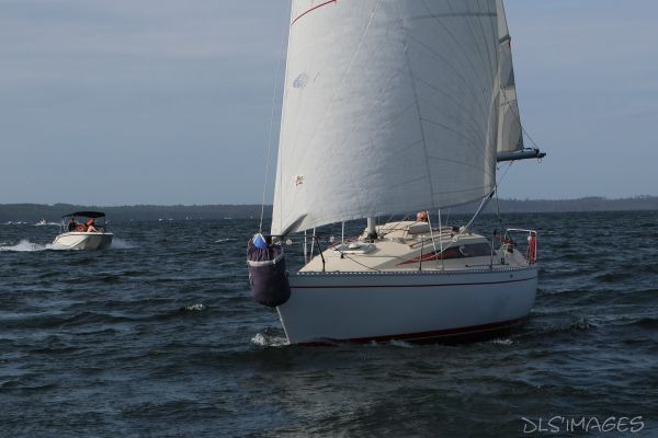 La Ducom – photo 166