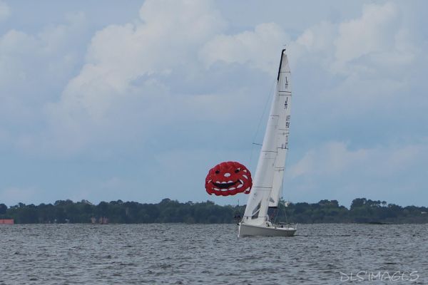 Coupe Ispe J70 – photo 60