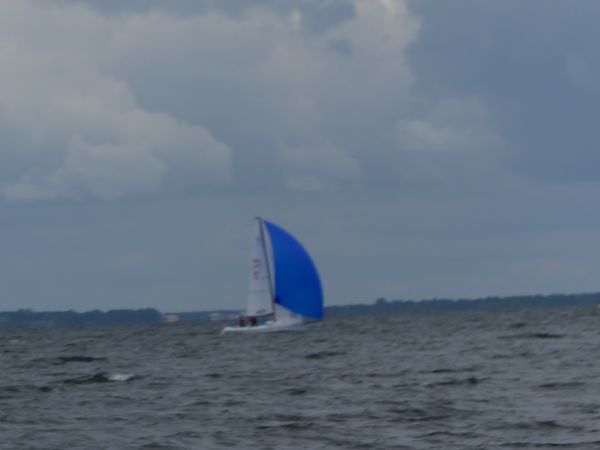 La DUO – photo 43