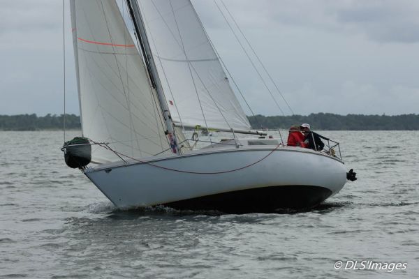 Femme à la barre 2025 – photo 42