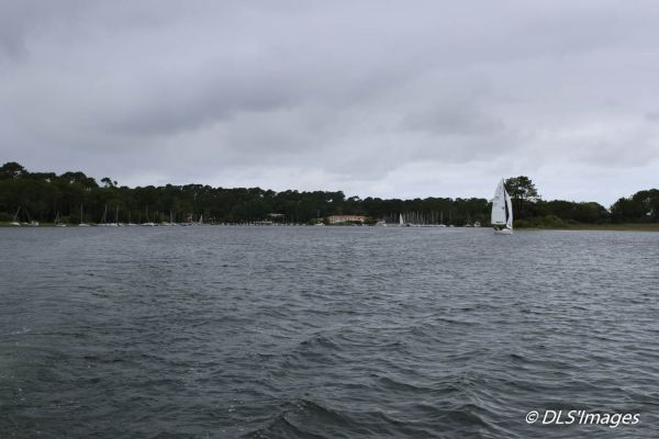 Femme à la barre 2025 – photo 10