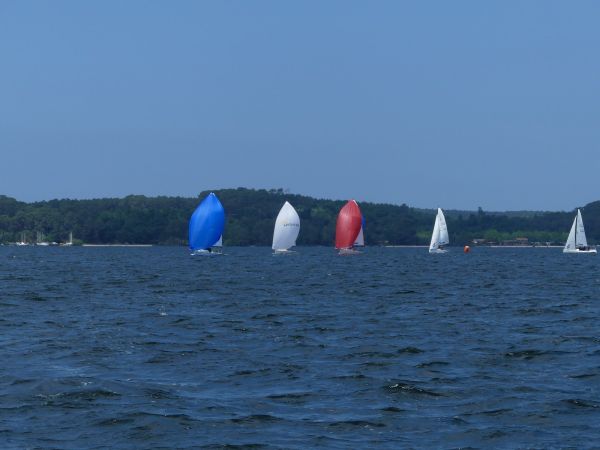 Championnat J70 2025 – photo 97