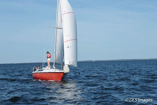 Journée du Jeune régatier et/ou du Débutant 2026 – photo 86